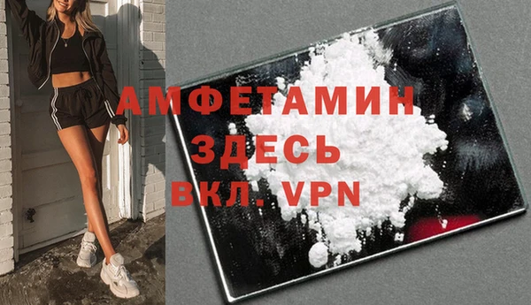 прущие грибы Балабаново