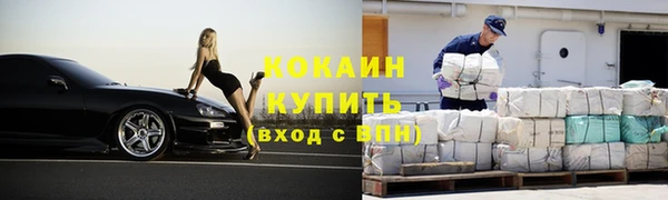 прущие грибы Балабаново