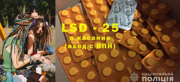 прущие грибы Балабаново