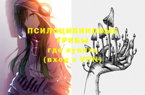 прущие грибы Балабаново