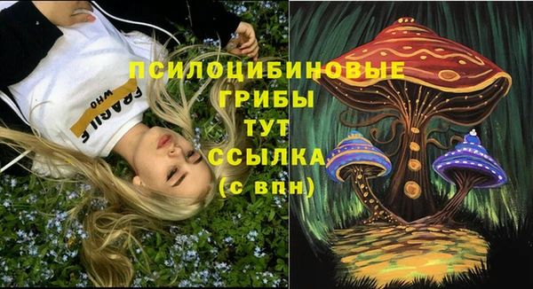 прущие грибы Балабаново