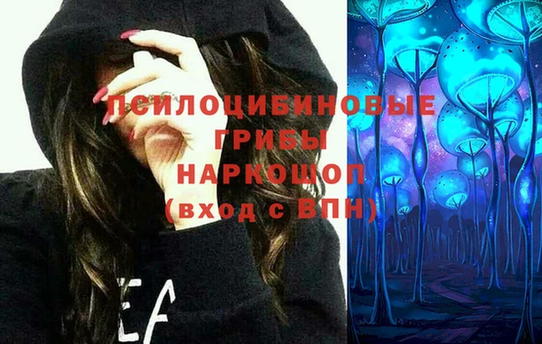 прущие грибы Балабаново